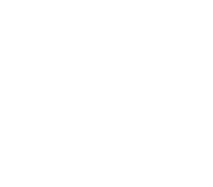 Workinton Qatar logo in White